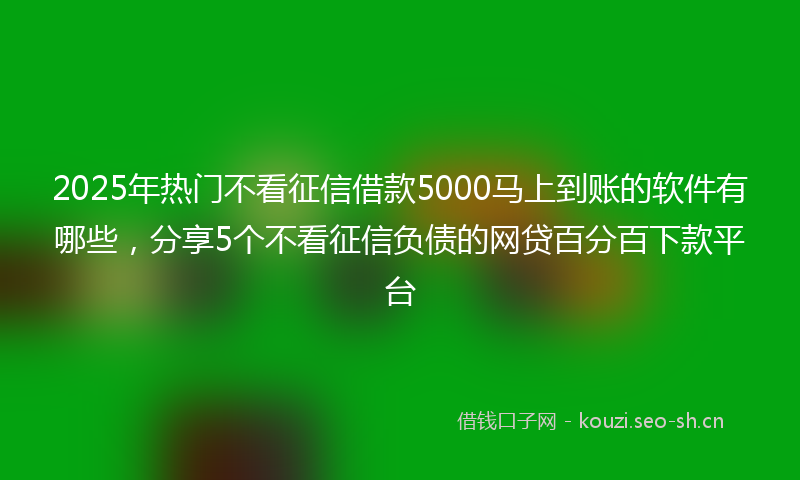 2025年热门不看征信借款5000马上到账的软件有哪些，分享5个不看征信负债的网贷百分百下款平台