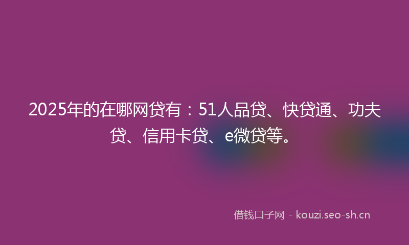 2025年的在哪网贷有：51人品贷、快贷通、功夫贷、信用卡贷、e微贷等。