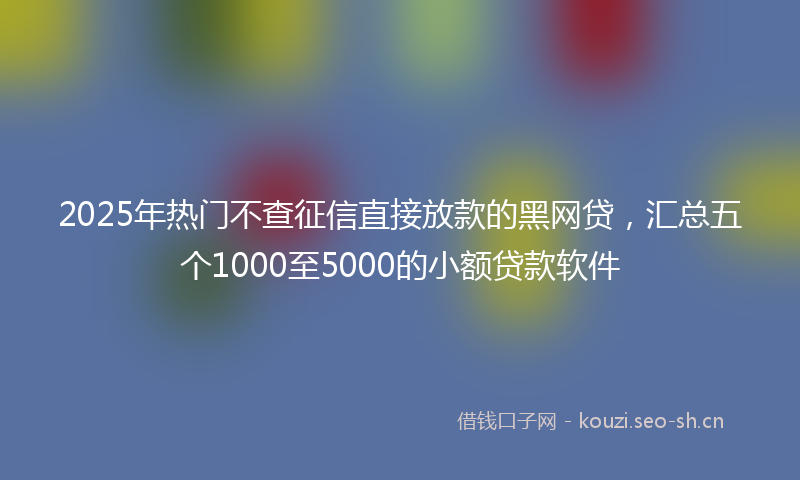 2025年热门不查征信直接放款的黑网贷，汇总五个1000至5000的小额贷款软件