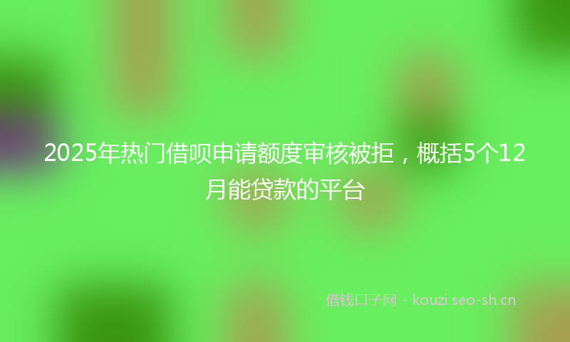 2025年热门借呗申请额度审核被拒，概括5个12月能贷款的平台