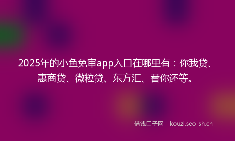 2025年的小鱼免审app入口在哪里有：你我贷、惠商贷、微粒贷、东方汇、替你还等。