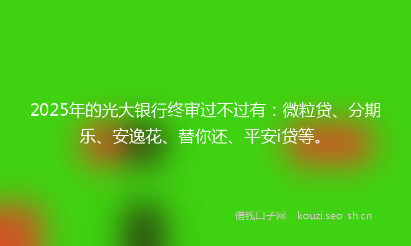 2025年的光大银行终审过不过有：微粒贷、分期乐、安逸花、替你还、平安i贷等。