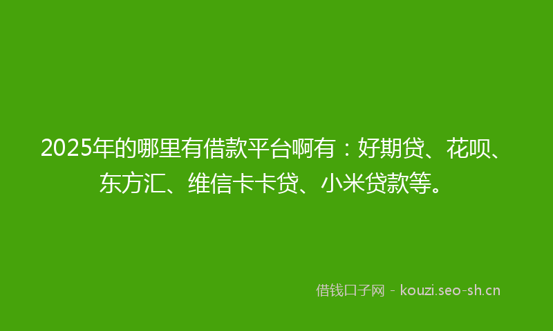 2025年的哪里有借款平台啊有：好期贷、花呗、东方汇、维信卡卡贷、小米贷款等。