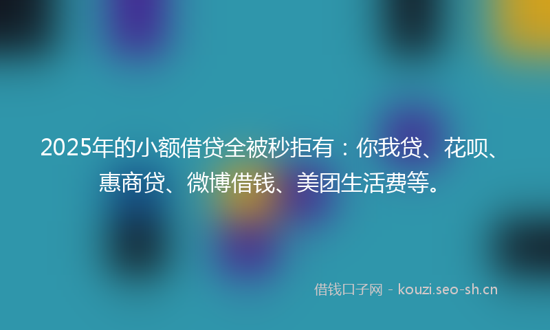 2025年的小额借贷全被秒拒有：你我贷、花呗、惠商贷、微博借钱、美团生活费等。