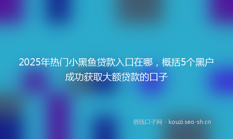 2025年热门小黑鱼贷款入口在哪，概括5个黑户成功获取大额贷款的口子