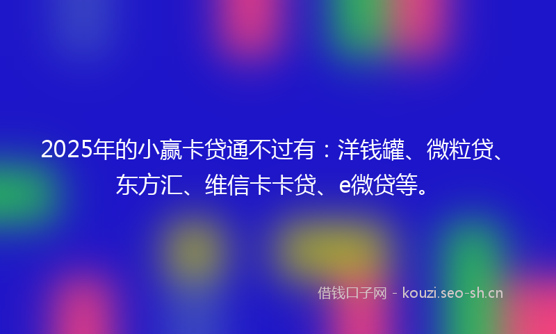 2025年的小赢卡贷通不过有：洋钱罐、微粒贷、东方汇、维信卡卡贷、e微贷等。