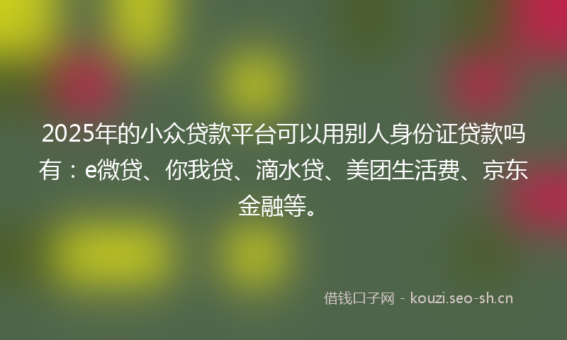 2025年的小众贷款平台可以用别人身份证贷款吗有：e微贷、你我贷、滴水贷、美团生活费、京东金融等。