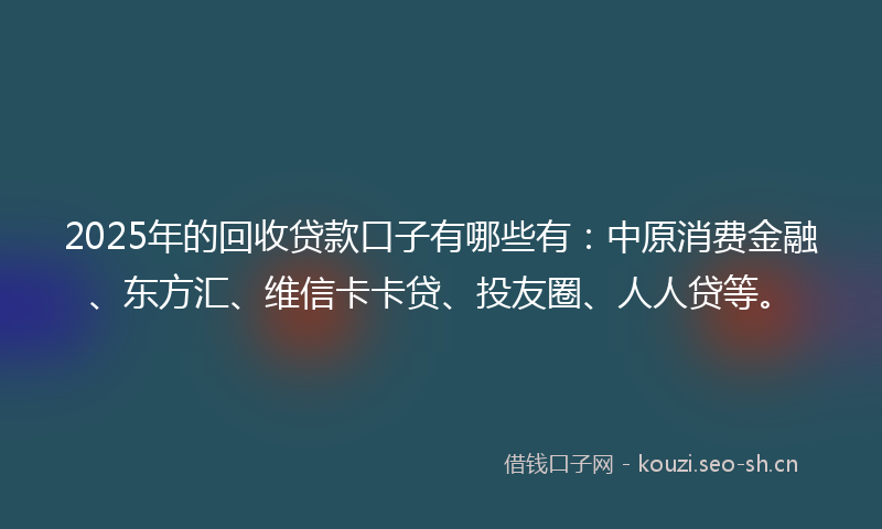2025年的回收贷款口子有哪些有：中原消费金融、东方汇、维信卡卡贷、投友圈、人人贷等。