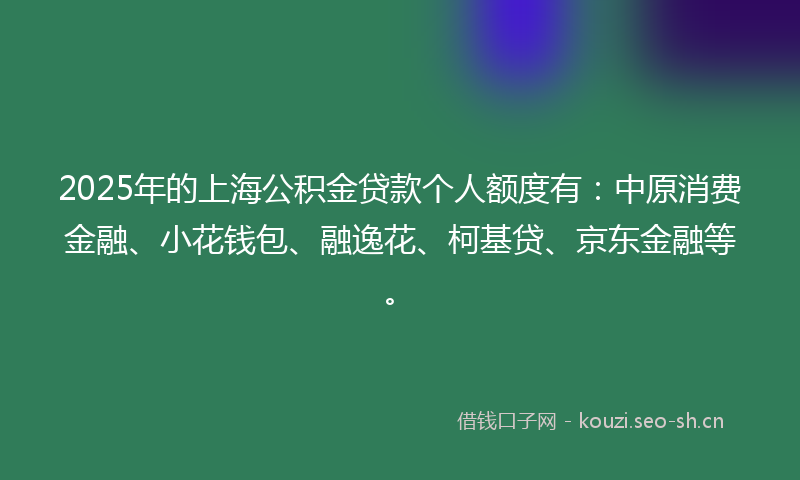 2025年的上海公积金贷款个人额度有：中原消费金融、小花钱包、融逸花、柯基贷、京东金融等。