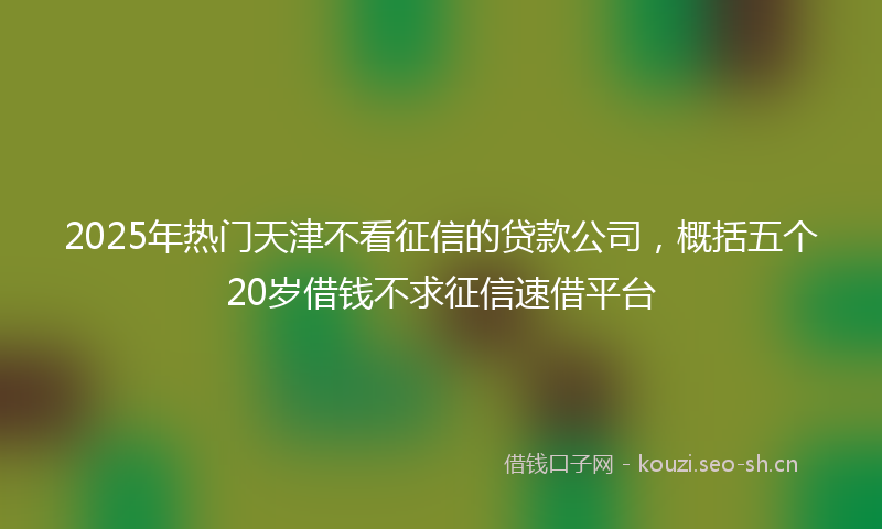 2025年热门天津不看征信的贷款公司,概括五个20岁借钱不求征信速借平台