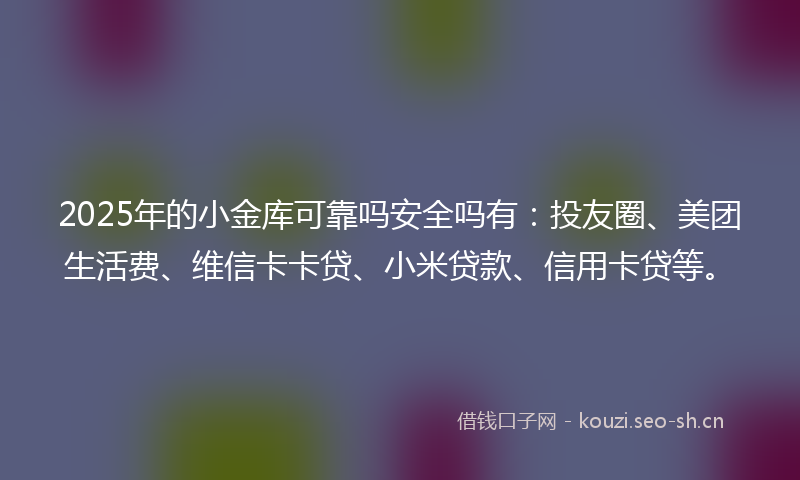 2025年的小金库可靠吗安全吗有：投友圈、美团生活费、维信卡卡贷、小米贷款、信用卡贷等。