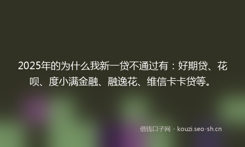 2025年的为什么我新一贷不通过有：好期贷、花呗、度小满金融、融逸花、维信卡卡贷等。