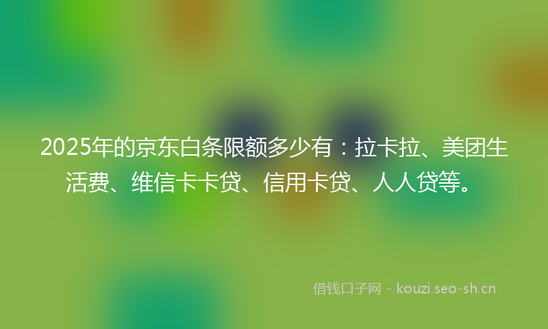 2025年的京东白条限额多少有：拉卡拉、美团生活费、维信卡卡贷、信用卡贷、人人贷等。