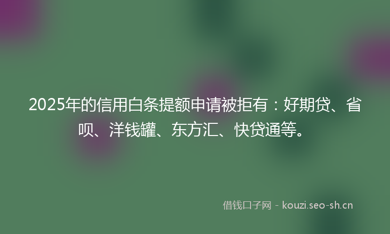 2025年的信用白条提额申请被拒有：好期贷、省呗、洋钱罐、东方汇、快贷通等。
