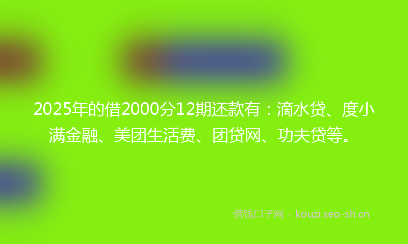 2025年的借2000分12期还款有：滴水贷、度小满金融、美团生活费、团贷网、功夫贷等。