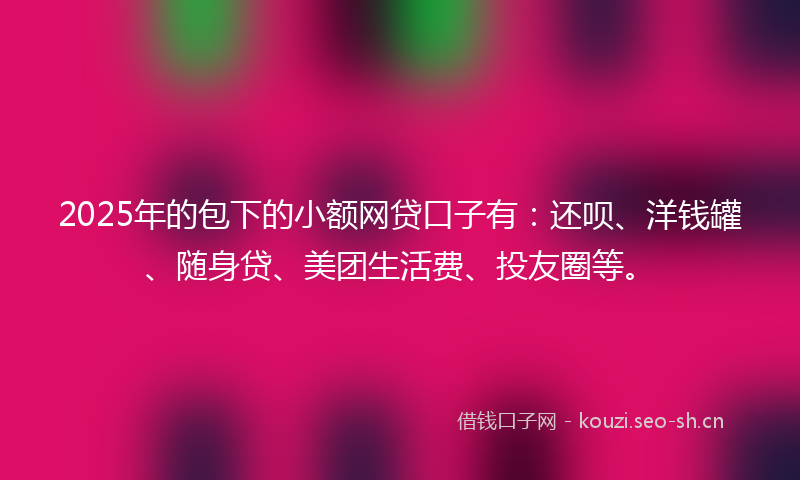 2025年的包下的小额网贷口子有：还呗、洋钱罐、随身贷、美团生活费、投友圈等。