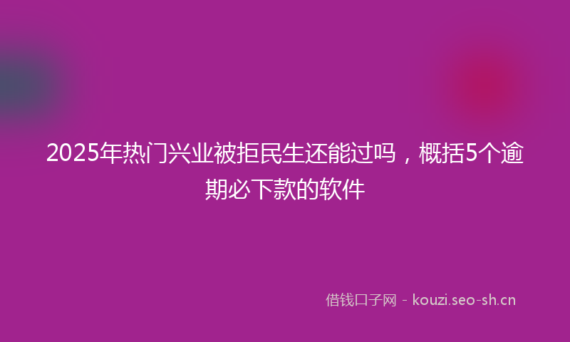 2025年热门兴业被拒民生还能过吗，概括5个逾期必下款的软件