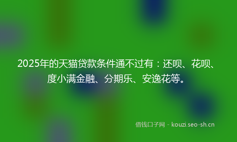 2025年的天猫贷款条件通不过有：还呗、花呗、度小满金融、分期乐、安逸花等。