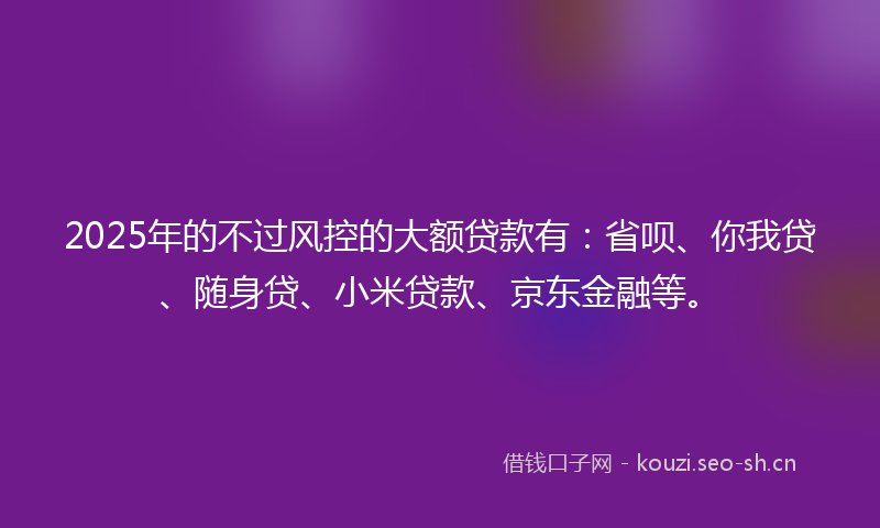 2025年的不过风控的大额贷款有：省呗、你我贷、随身贷、小米贷款、京东金融等。