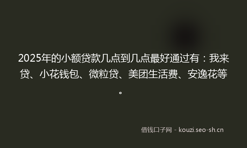 2025年的小额贷款几点到几点最好通过有：我来贷、小花钱包、微粒贷、美团生活费、安逸花等。