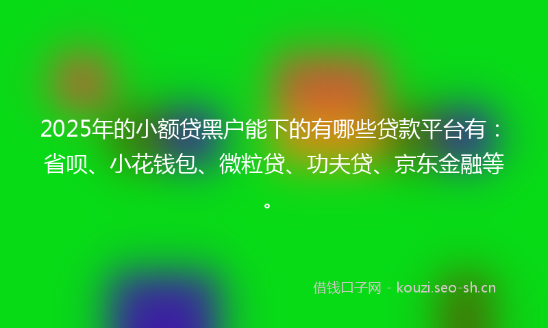 2025年的小额贷黑户能下的有哪些贷款平台有：省呗、小花钱包、微粒贷、功夫贷、京东金融等。