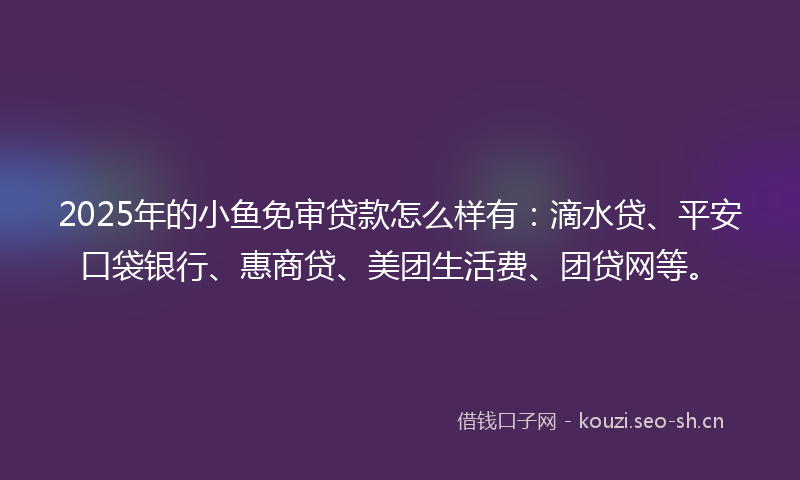 2025年的小鱼免审贷款怎么样有:滴水贷、平安口袋银行、惠商贷、美团生活费、团贷网等。