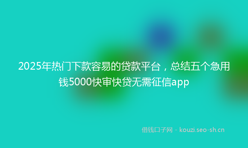 2025年热门下款容易的贷款平台，总结五个急用钱5000快审快贷无需征信app