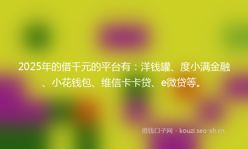 2025年的借千元的平台有：洋钱罐、度小满金融、小花钱包、维信卡卡贷、e微贷等。