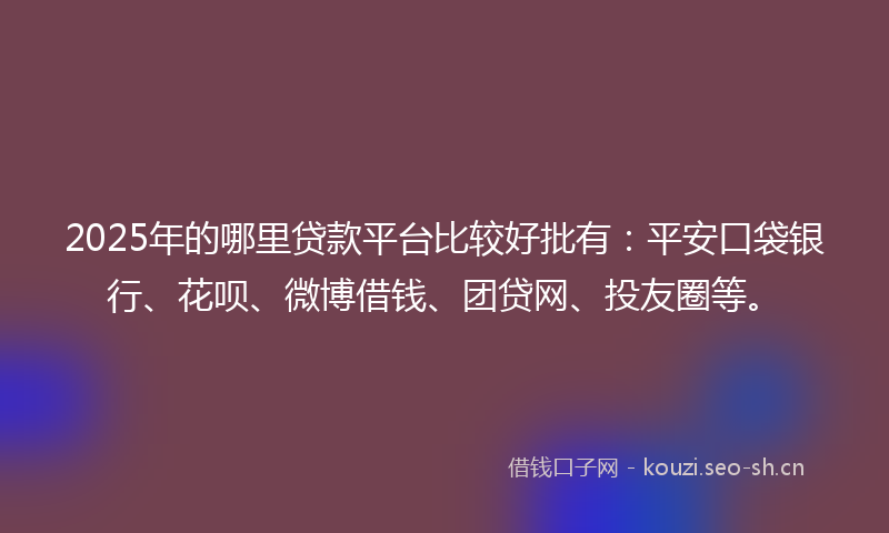 2025年的哪里贷款平台比较好批有：平安口袋银行、花呗、微博借钱、团贷网、投友圈等。