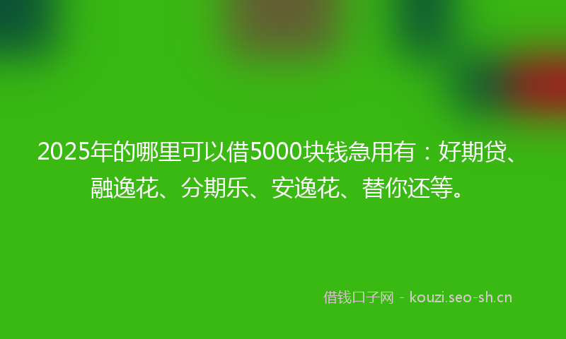 2025年的哪里可以借5000块钱急用有：好期贷、融逸花、分期乐、安逸花、替你还等。