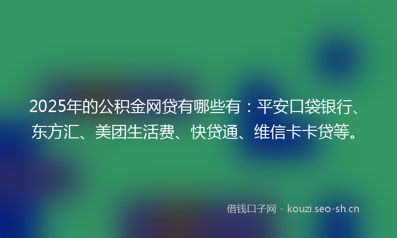 2025年的公积金网贷有哪些有：平安口袋银行、东方汇、美团生活费、快贷通、维信卡卡贷等。