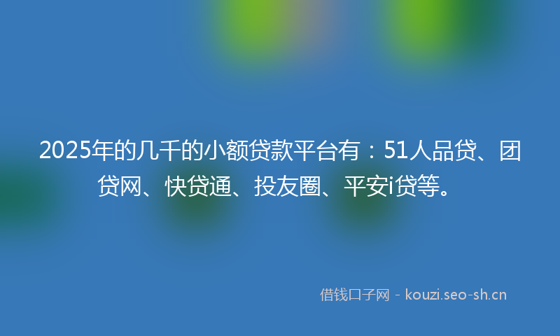 2025年的几千的小额贷款平台有：51人品贷、团贷网、快贷通、投友圈、平安i贷等。