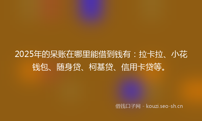 2025年的呆账在哪里能借到钱有：拉卡拉、小花钱包、随身贷、柯基贷、信用卡贷等。