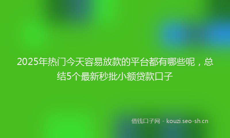 2025年热门今天容易放款的平台都有哪些呢，总结5个最新秒批小额贷款口子