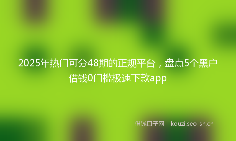 2025年热门可分48期的正规平台，盘点5个黑户借钱0门槛极速下款app