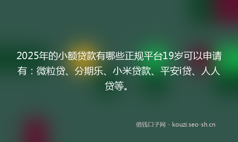 2025年的小额贷款有哪些正规平台19岁可以申请有：微粒贷、分期乐、小米贷款、平安i贷、人人贷等。
