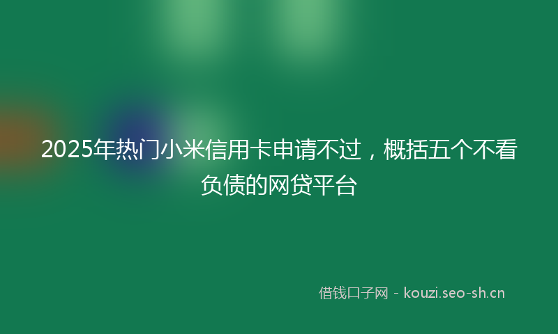 2025年热门小米信用卡申请不过，概括五个不看负债的网贷平台