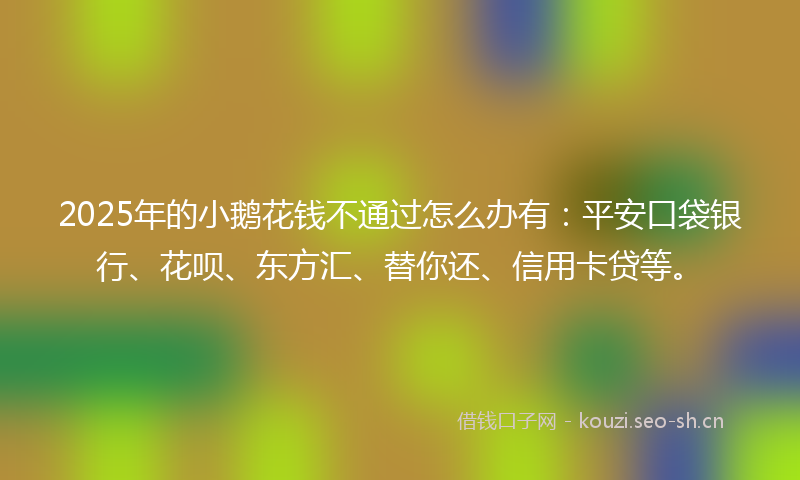 2025年的小鹅花钱不通过怎么办有：平安口袋银行、花呗、东方汇、替你还、信用卡贷等。