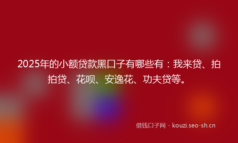 2025年的小额贷款黑口子有哪些有：我来贷、拍拍贷、花呗、安逸花、功夫贷等。