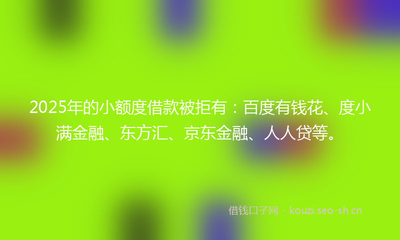 2025年的小额度借款被拒有：百度有钱花、度小满金融、东方汇、京东金融、人人贷等。