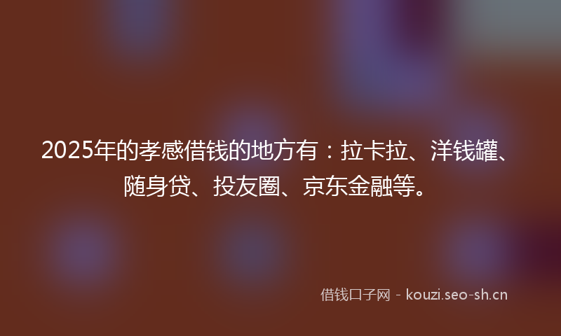 2025年的孝感借钱的地方有：拉卡拉、洋钱罐、随身贷、投友圈、京东金融等。