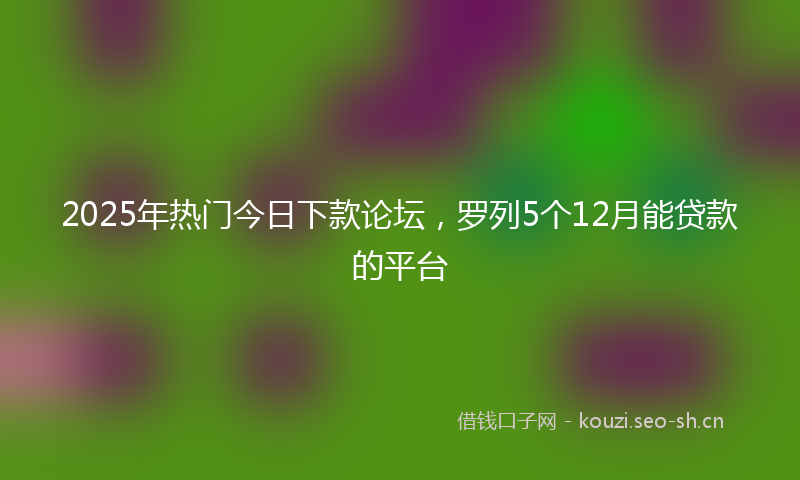 2025年热门今日下款论坛，罗列5个12月能贷款的平台