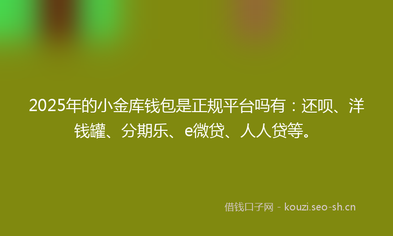 2025年的小金库钱包是正规平台吗有：还呗、洋钱罐、分期乐、e微贷、人人贷等。