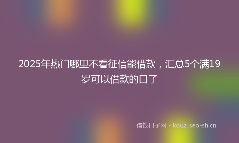 2025年热门哪里不看征信能借款，汇总5个满19岁可以借款的口子
