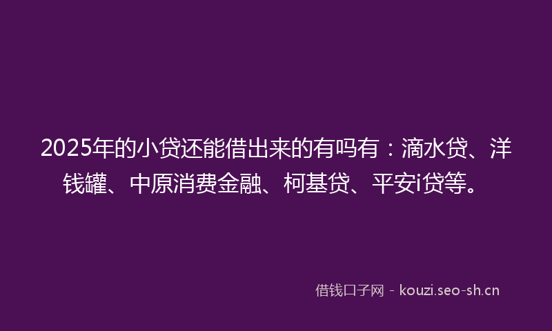 2025年的小贷还能借出来的有吗有：滴水贷、洋钱罐、中原消费金融、柯基贷、平安i贷等。