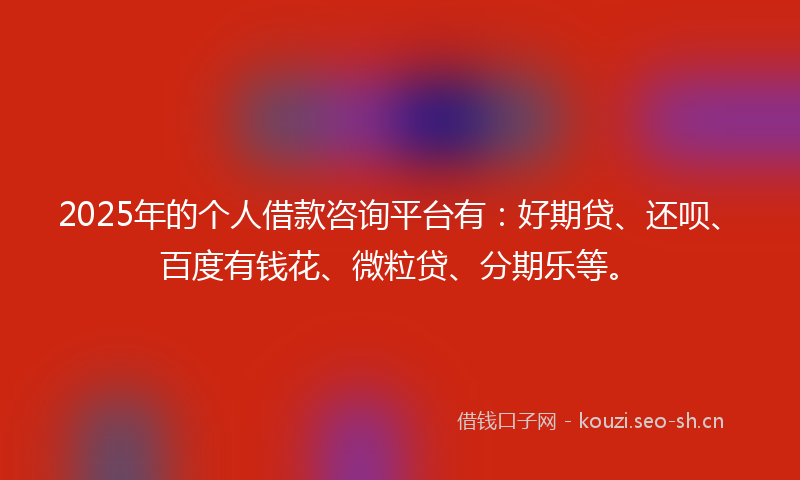 2025年的个人借款咨询平台有：好期贷、还呗、百度有钱花、微粒贷、分期乐等。