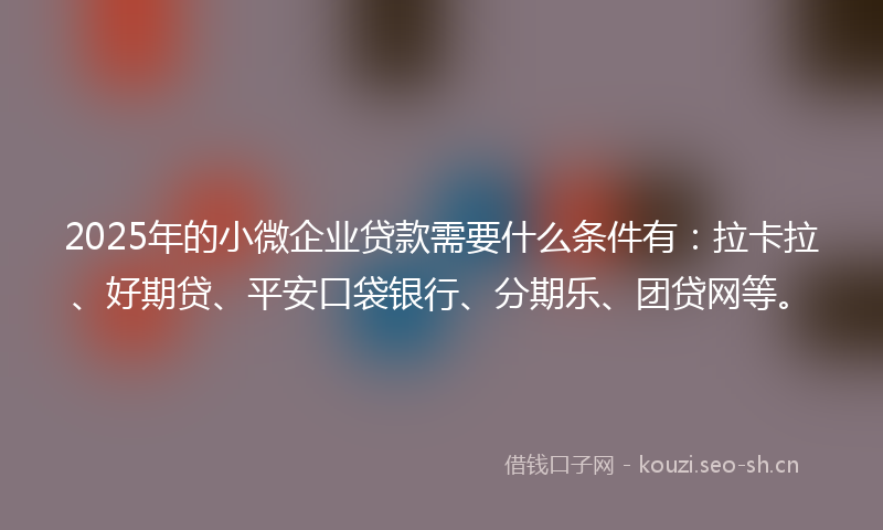 2025年的小微企业贷款需要什么条件有：拉卡拉、好期贷、平安口袋银行、分期乐、团贷网等。
