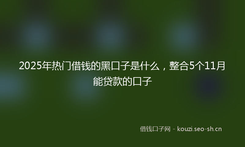 2025年热门借钱的黑口子是什么，整合5个11月能贷款的口子