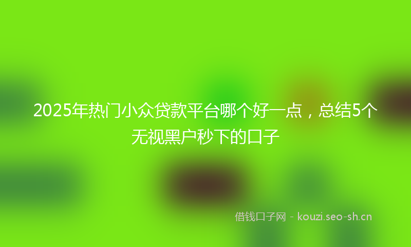 2025年热门小众贷款平台哪个好一点，总结5个无视黑户秒下的口子