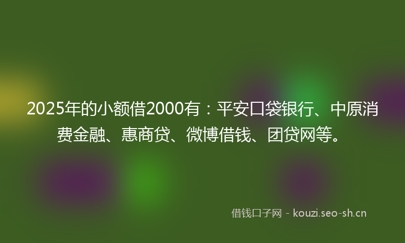 2025年的小额借2000有：平安口袋银行、中原消费金融、惠商贷、微博借钱、团贷网等。